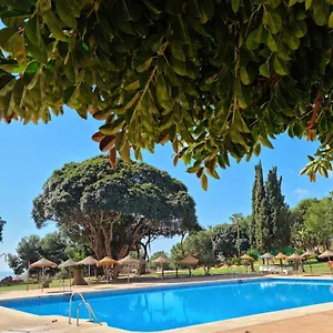Lemon Tree Benalmadena